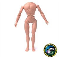 8 Inch Male Regular Bodies
