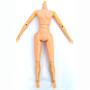 Custom 8 inch Female Bodies
