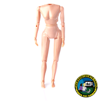 Custom 8 inch Female Bodies