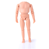 5 & 6 Inch Bodies