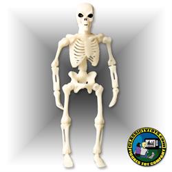 8 inch Skeleton Figures