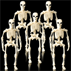 8 inch Skeleton Figures