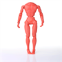 8 inch Male Articulated Red Body