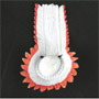Indian Head Dress