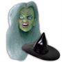 Witch with Rooted Gray Hair & Hat Fully Painted Head
